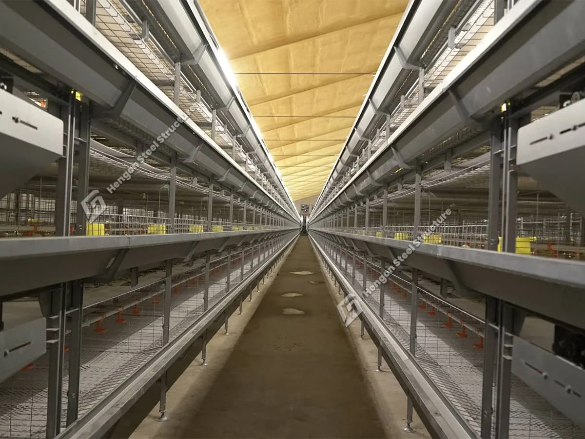 Productos para pollos de engorde